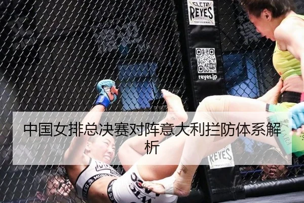 中国女排总决赛对阵意大利拦防体系解析