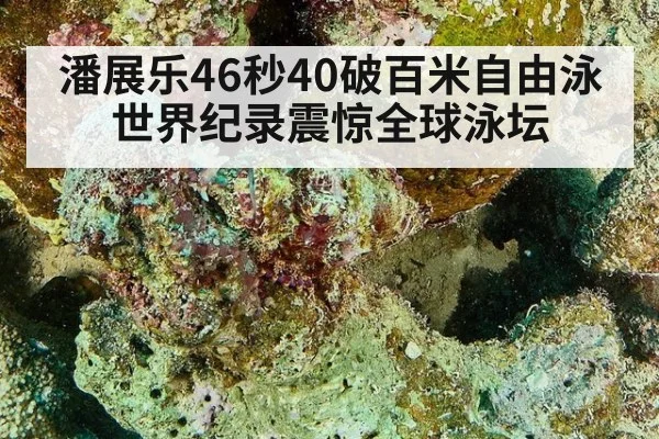 潘展乐46秒40破百米自由泳世界纪录震惊全球泳坛